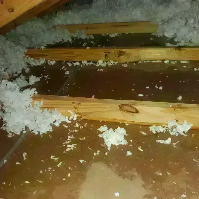 Attic Water Damage in Bethel, AK