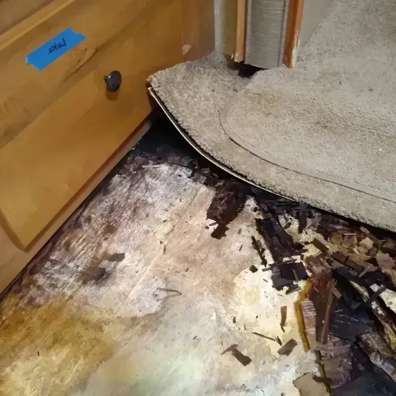 Wood Floor Water Damage in Bethel, AK